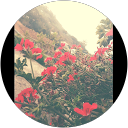 Srishti Roy profile picture